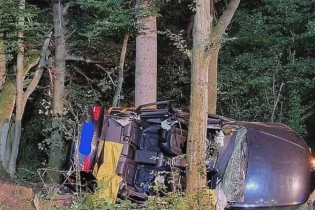 accident catastrofal in germania patru romani si au pierdut viata 68ae19318d8c0