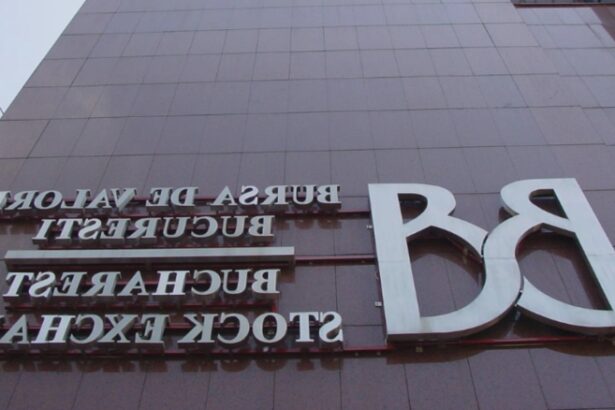 bursa de valori bucuresti a pierdut peste 65 miliarde de lei intr o saptamana ce efect au avut declaratiile despre pilonul ii de pensii 68aae42e03e14