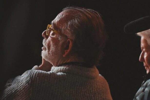 megadoc review francis ford coppola and shia labeouf steal the show in mike figgis juicy megalopolis production expose 68b07a4e3e1c0