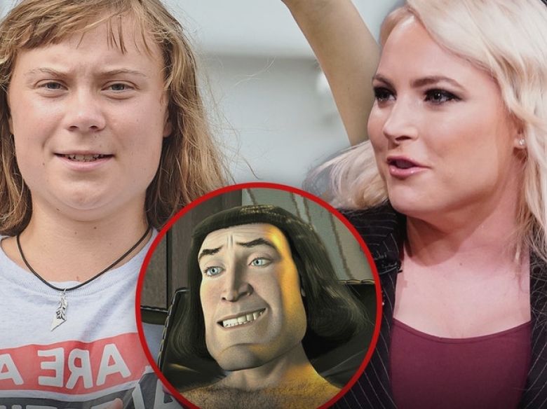 meghan mccain roasts greta thunbergs hair says she looks like lord farquaad 68b4a328766fa