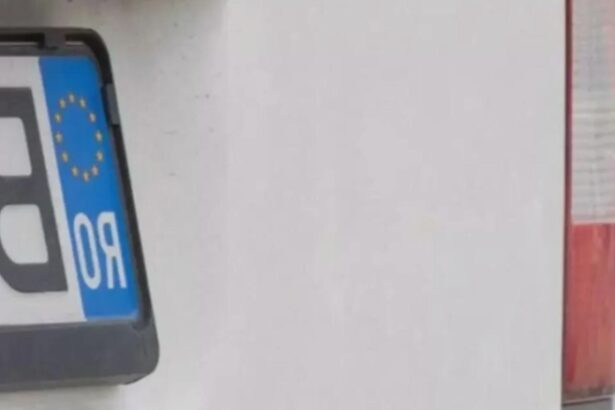 politistii au decis sa ii scuteasca pe soferi de un drum in plus placutele de inmatriculare vor ajunge direct acasa 68b2c23f384e9