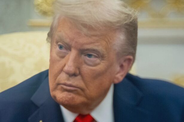 trump socheaza din nou presedintele sua a afirmat ca multi americani ar dori sa aiba un dictator 68accf6f1a25a