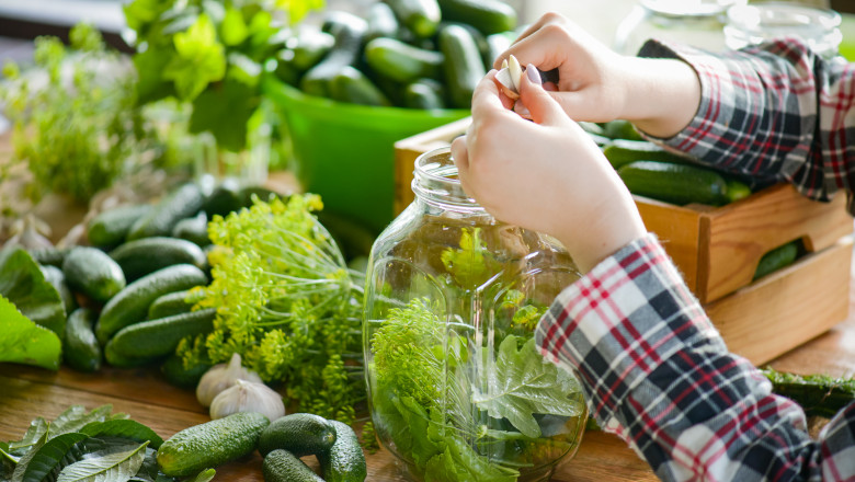 cand este cel mai bun moment sa pui muraturi ce condimente recomanda chef adi hadean pentru borcane care rezista toata iarna 68c790541a4fd