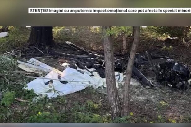 consilier aur in stare grava dupa ce s a prabusit cu avionul incidentul a avut loc in curtea unei unitati militare 68d8d519d1593