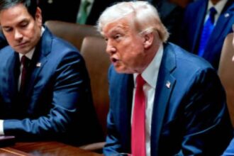 donald trump catre generalii armatei sua suntem invadati din interior 68dc1fd83295d