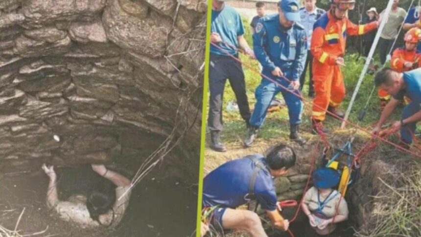 experienta uimitoare a unei femei de 48 de ani a supravietuit 54 de ore intr o fantana plina de serpi agatata de pereti 68db959fb95d9