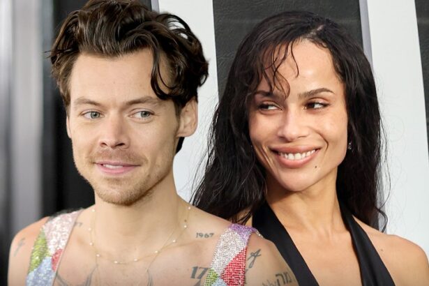 harry styles and zoe kravitz not exclusive just hooking up 68b8bca89c802