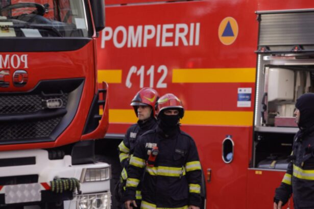 incendiu de proportii la o hala destinata cresterii puilor din judetul satu mare flacarile ameninta mai multe constructii industriale 68cd9529c17b3