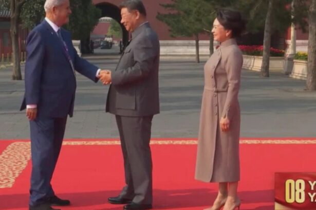 reactie de ultima ora din partea diplomatilor chinezi cu privire la vizita fostilor premieri adrian nastase si viorica dancila 68b85a70d57a7