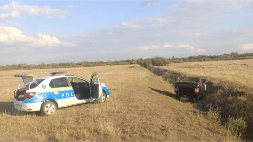 urmarire ca in filme in judetul timis un sofer fara permis s a rasturnat cu masina intr un sant in timp ce incerca sa scape de politie 68dbe08e53f34