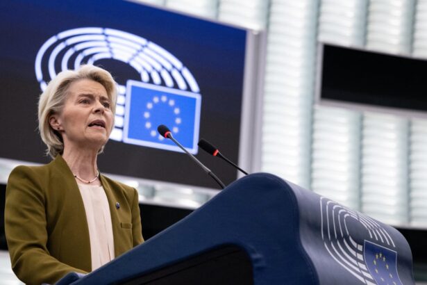 ursula von der leyen calls for suspension of eu trade with israel 68c16d8920e16
