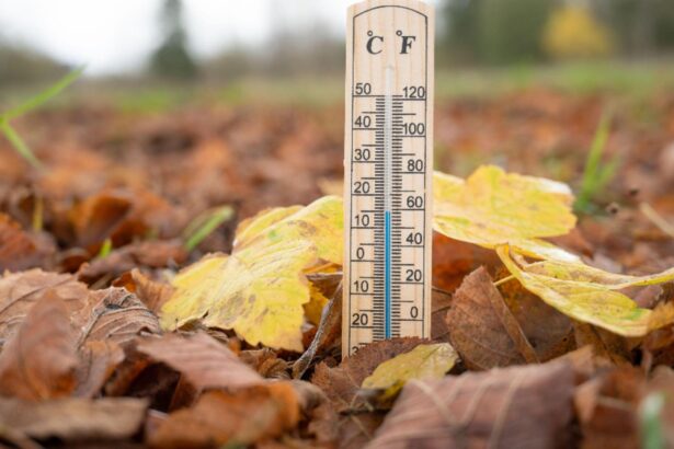 vreme anormal de calda si deficit de ploi prognoza anm pentru urmatoarele patru saptamani 68bfba97c8af7