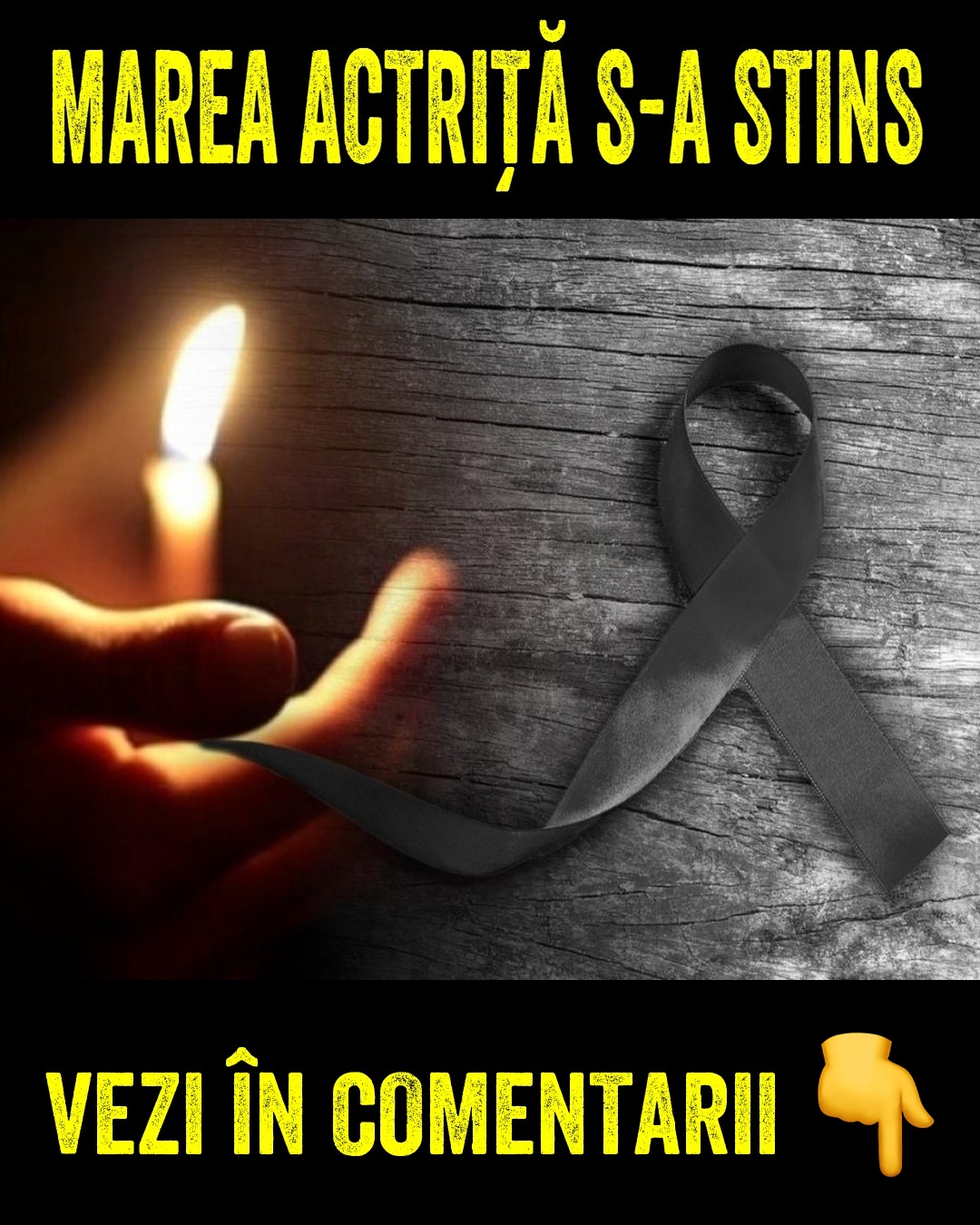 556863662 809998188287230 5295608666272769698 n