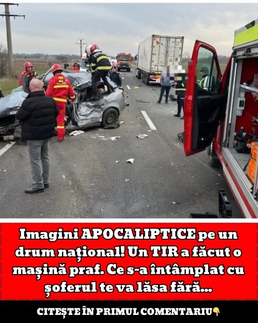 558756097 662373793614552 3608857371371101836 n