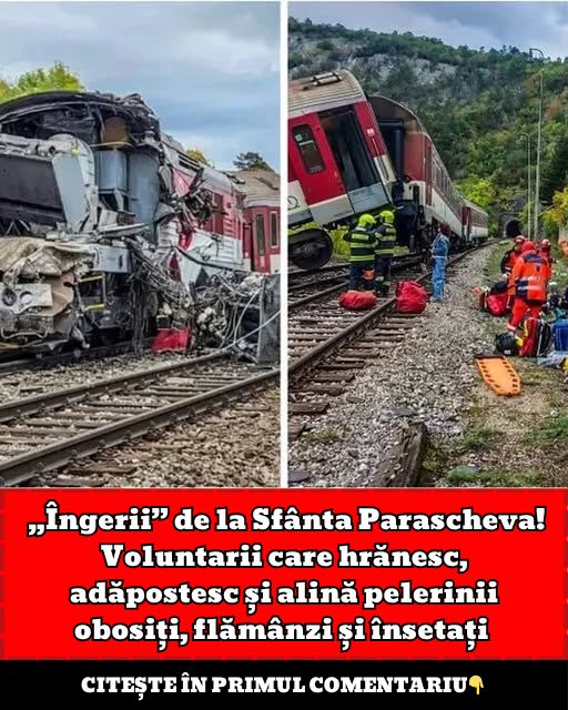 559472537 663236233528308 1459060457267394325 n