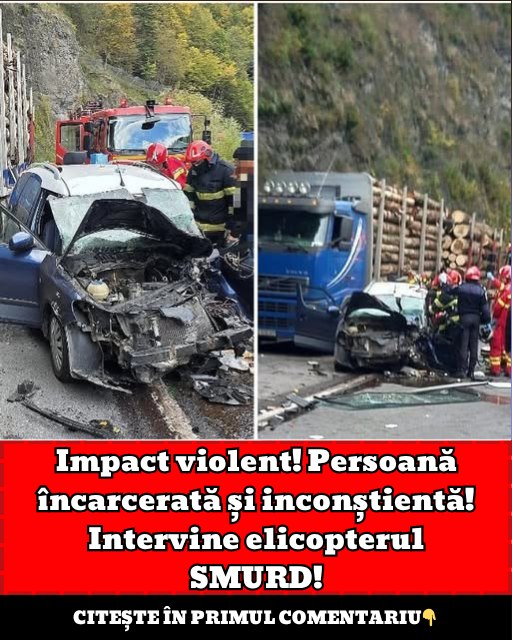 559503050 660664840452114 8615868605643160992 n