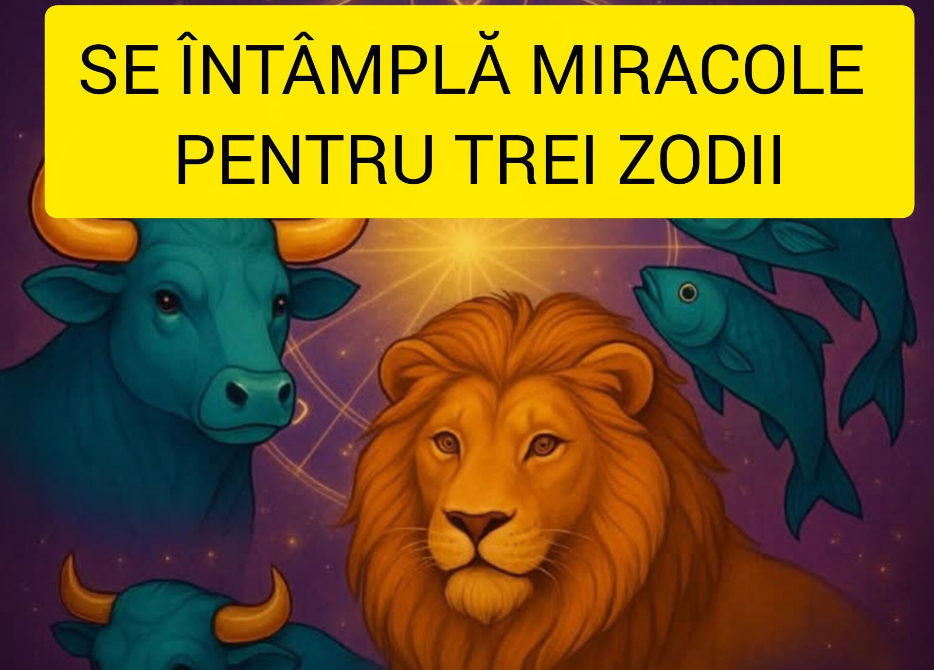 560322842 122146782614659465 3844019256575230473 n