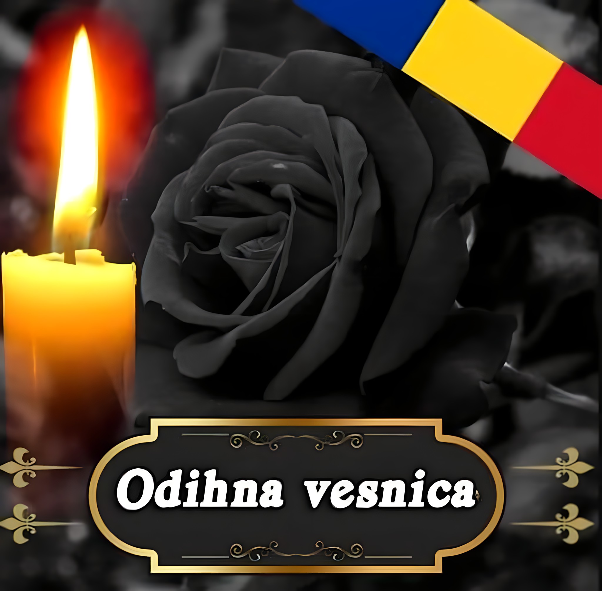 563444404 1192506766240490 2476759027280983034 n