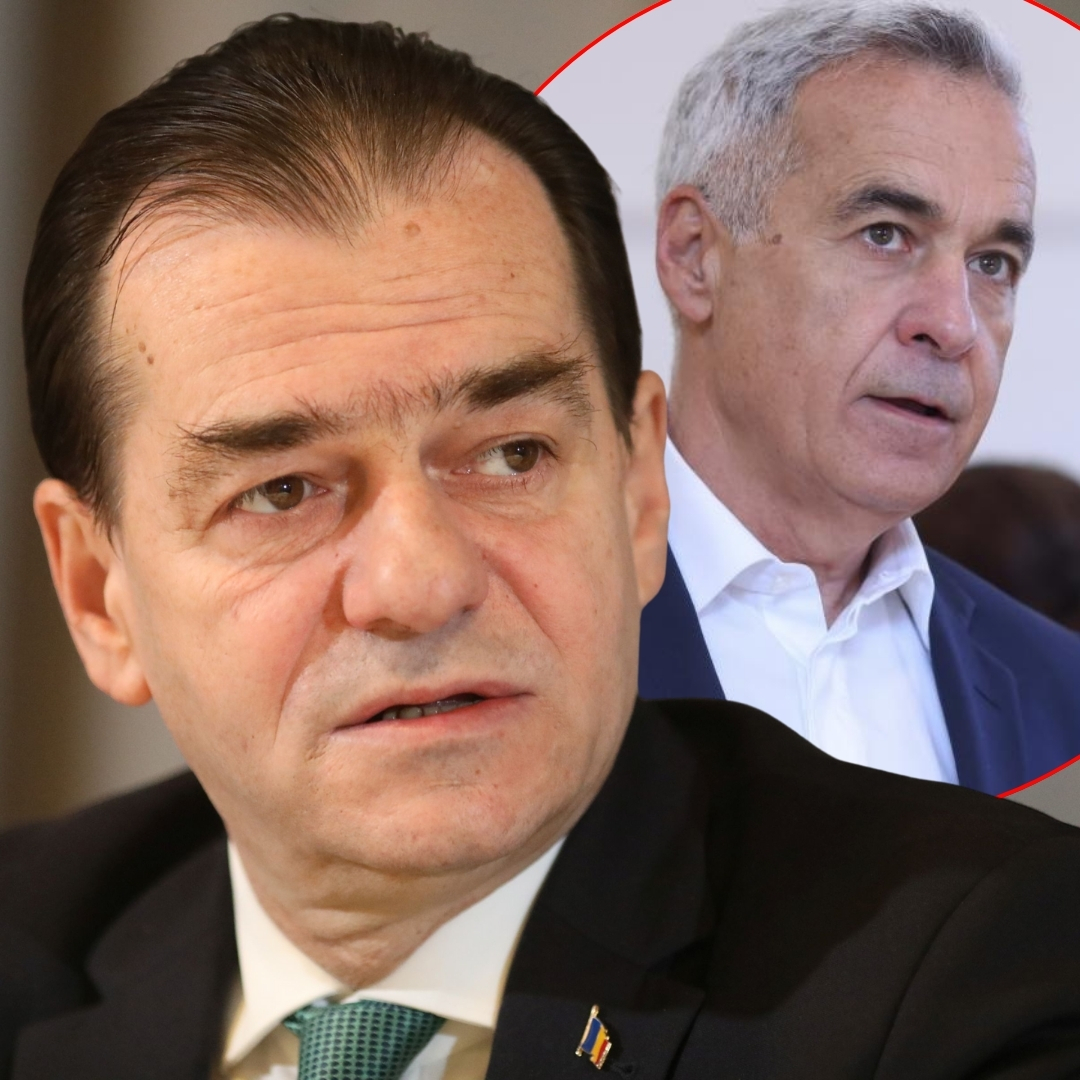 564543859 1358355378995369 5066216427617957374 n