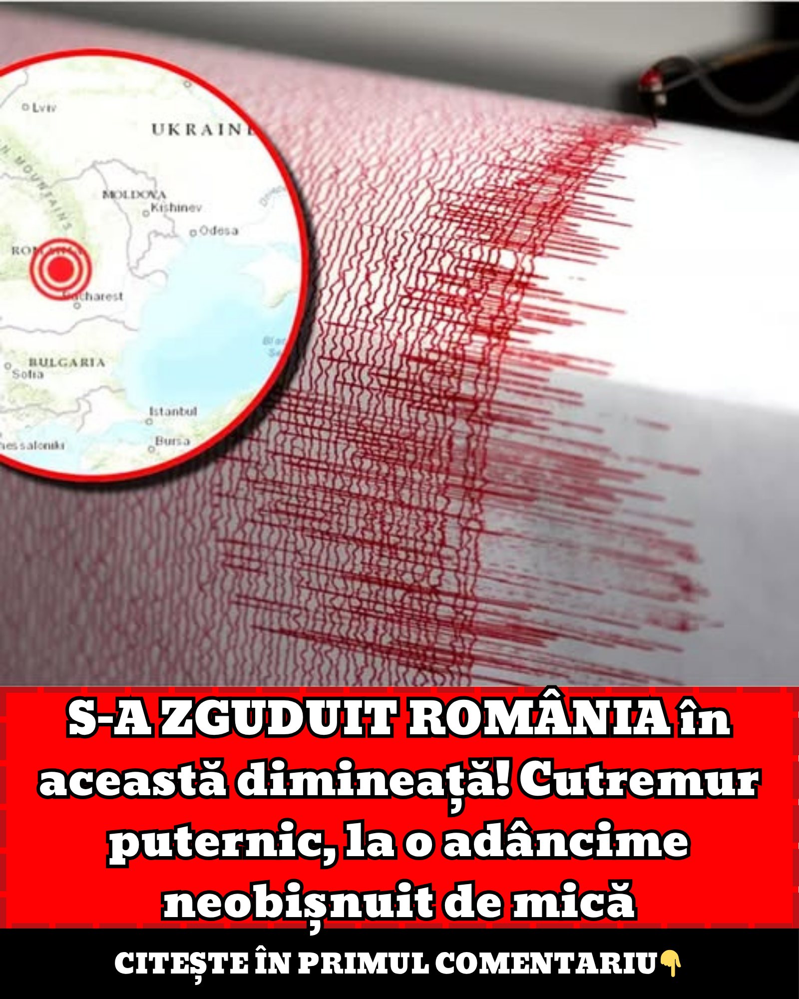 565081440 665020283349903 176956244644805594 n