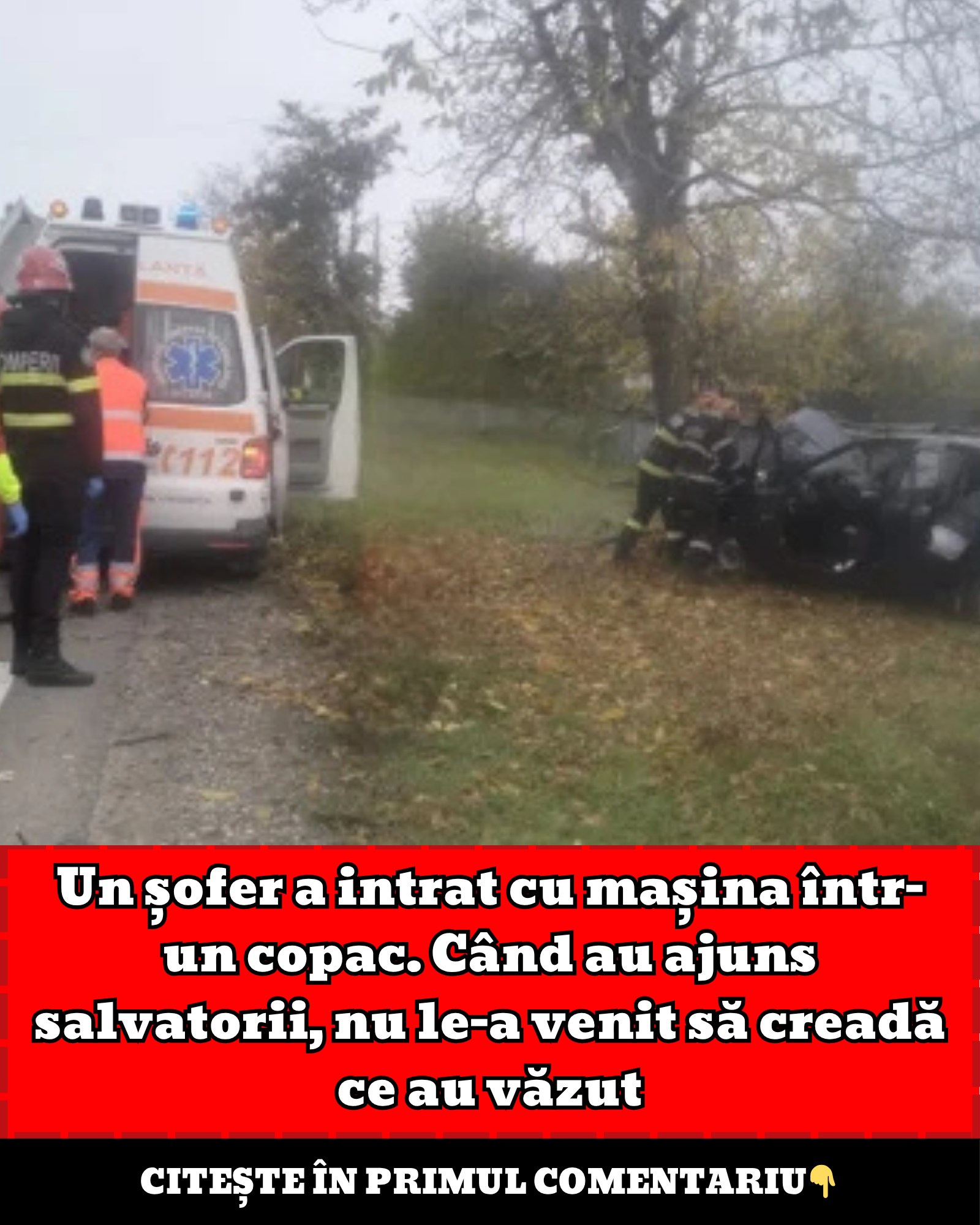 565144823 664557363396195 1555057154481691395 n