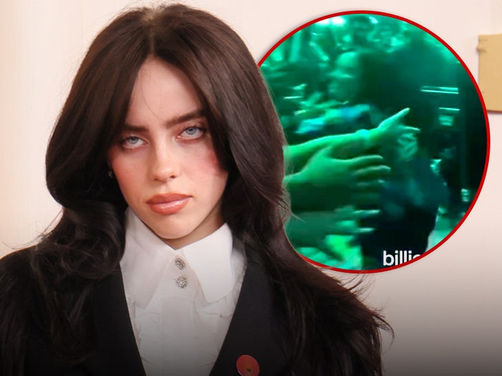 billie eilish violently grabbed by fan during miami concert 68e8ff68aa1d7