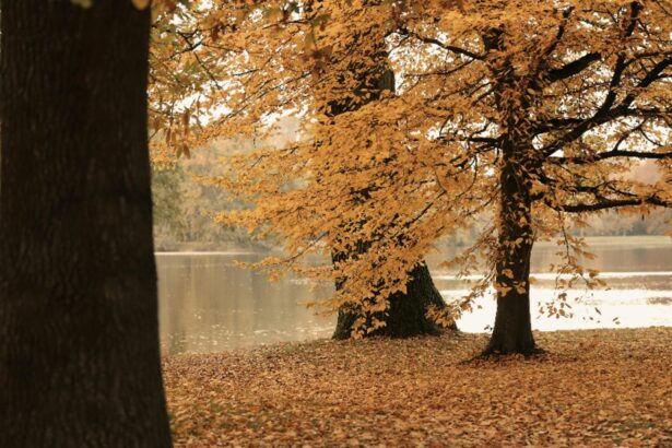 cum va fi vremea in luna octombrie cand scapam de frig si ploi 68e1311310380