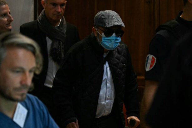 increase sentence for gisele pelicot rapist prosecutor tells appeal court 68e799e8f3c1c