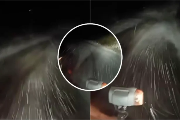 mare atentie soferi ninsori abundente pe dn 7a in zona obarsia lotrului recomandarile drumarilor video 68decac7dfd7d