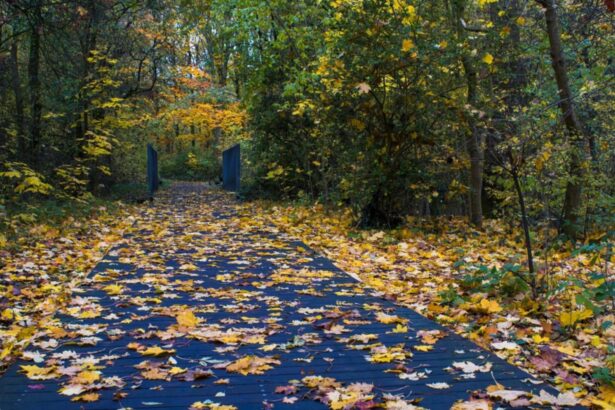 meteo 4 octombrie vreme rece cu ploi si lapovita si ninsoare la munte 68e09eacb8116