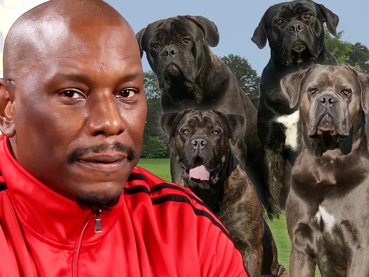 tyrese cops dont know where his killer dogs are 68dc7f0ed403e