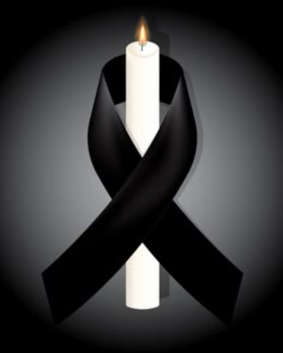 585353790 1433409808149900 1233432624056591171 n