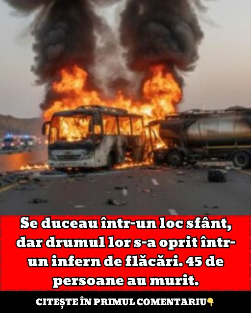 585754329 693176613867603 6256387438970223343 n