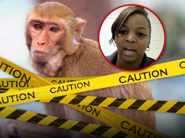 monkey killing mom will not face criminal charges in primate shooting 690b8d06cec9c